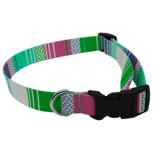 rPET Dog Collar - Full Colour